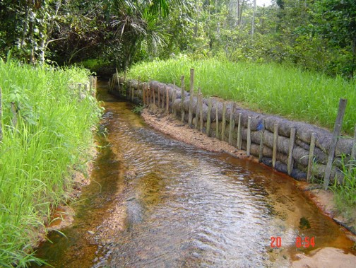 Hydro Seeding